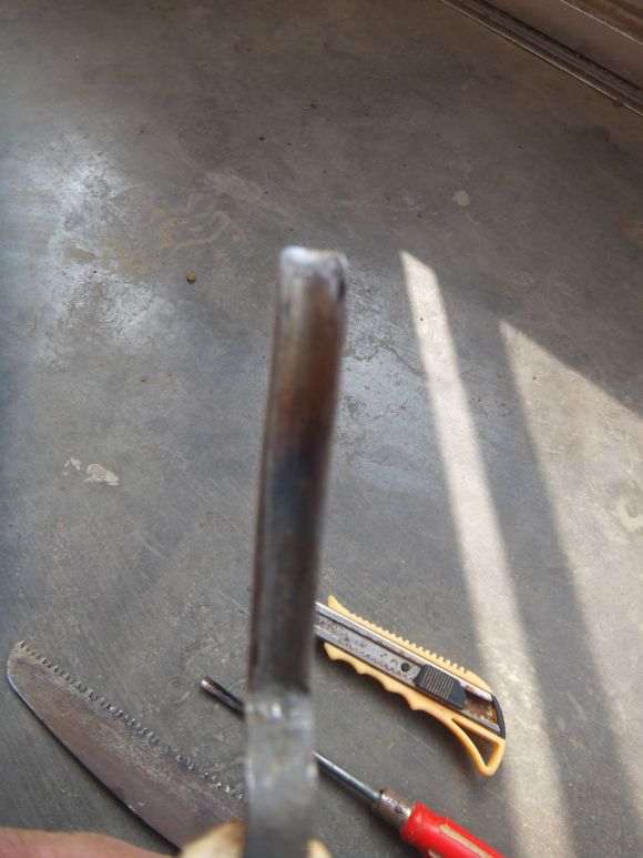 桂花和流苏下山桩都发芽了 要抹掉吗