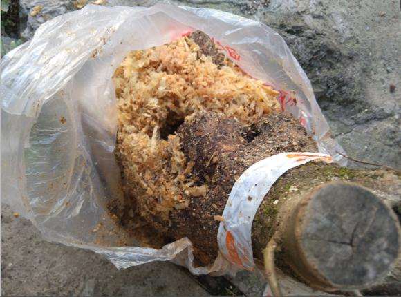 今天入手的流苏下山桩 100元