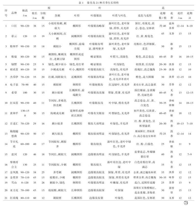 21个月季品种在秦皇岛的生长适应性