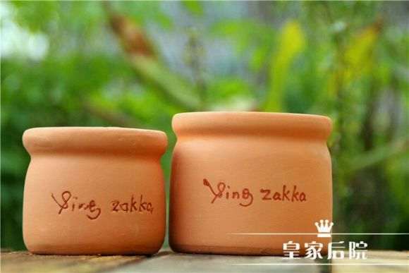 用红陶盆 夏天多肉该不该浇水