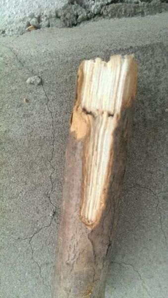 我的流苏下山桩怎么了