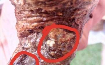 流苏下山桩成活情况乐观不 图片