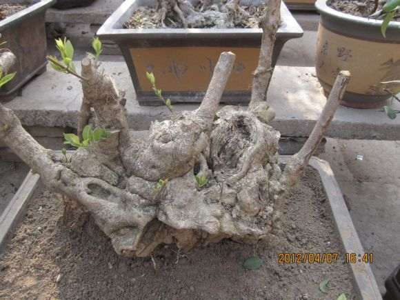 请问我的流苏下山桩值多少钱