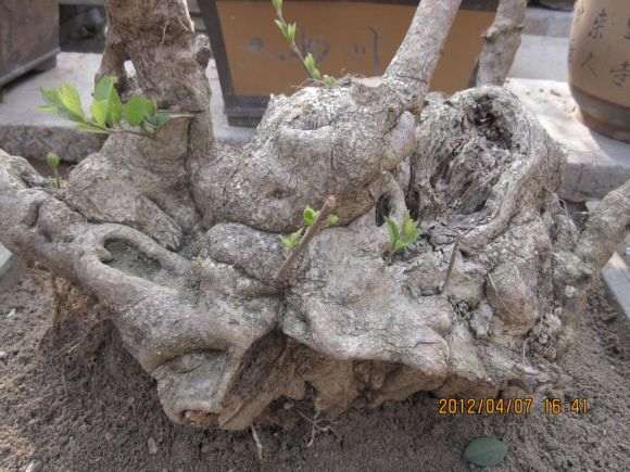 请问我的流苏下山桩值多少钱