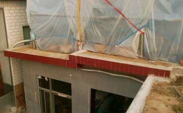 用空闲时间把桂花下山桩入棚了 图片