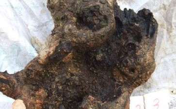 如何判断流苏下山桩下山时间的长短