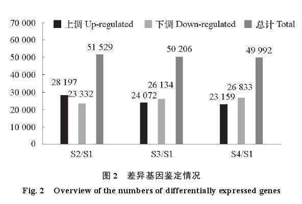 石蒜鳞茎膨大过程中内源激素含量的变化