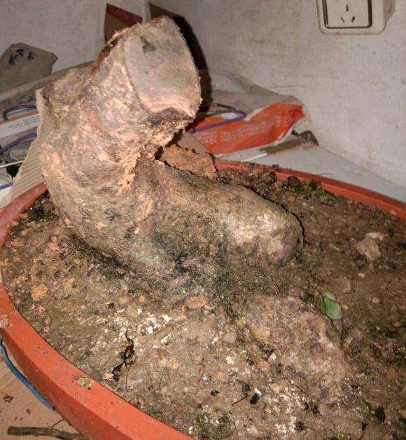 福建茶下山桩高压成功