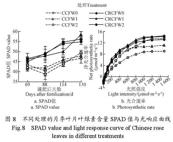 不同肥料配施保水剂对月季光合的影响
