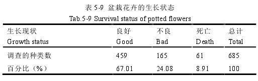 盆栽花卉的生长状况怎么样