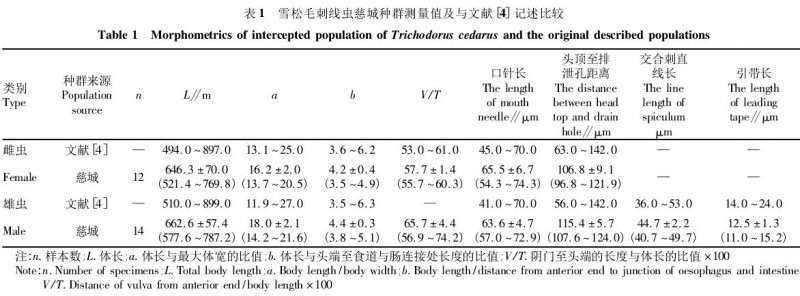 宁波慈城镇盆景植物根际2种毛刺科线虫记述