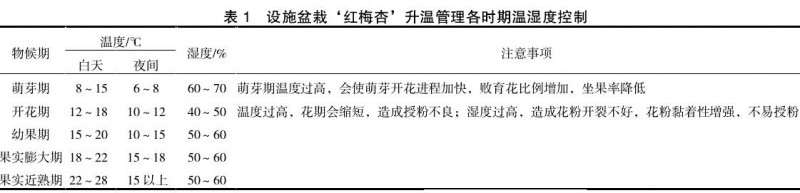 盆栽红梅杏环境怎么调控的2个技术