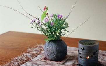 为什么学习插花 要有文化自信