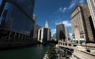 芝加哥3月花展的初衷是什么