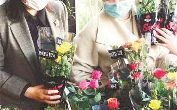 高端花店可以做批发生意吗