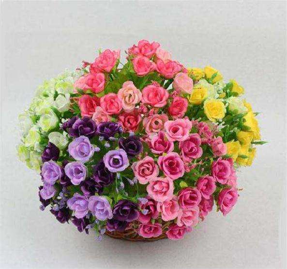 2020年淘宝鲜花园艺发展的7个方向