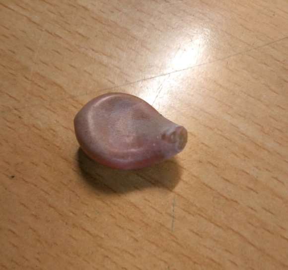 秋天桃蛋多肉怎么叶插的方法