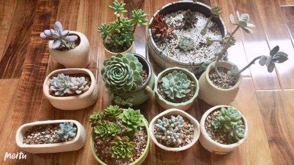 要入夏了 希望到了秋天你们还都在