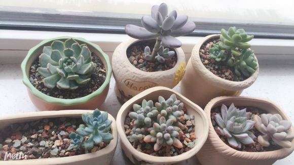 要入夏了 希望到了秋天你们还都在