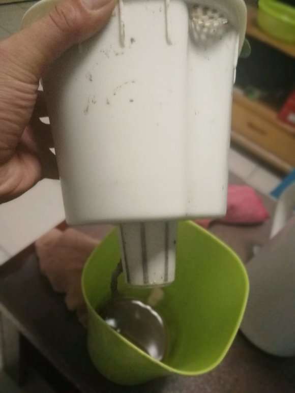 懒人怎么用花盆养福建茶盆景的方法