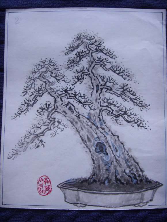 一本多杆三角枫盆景的设计图 图片