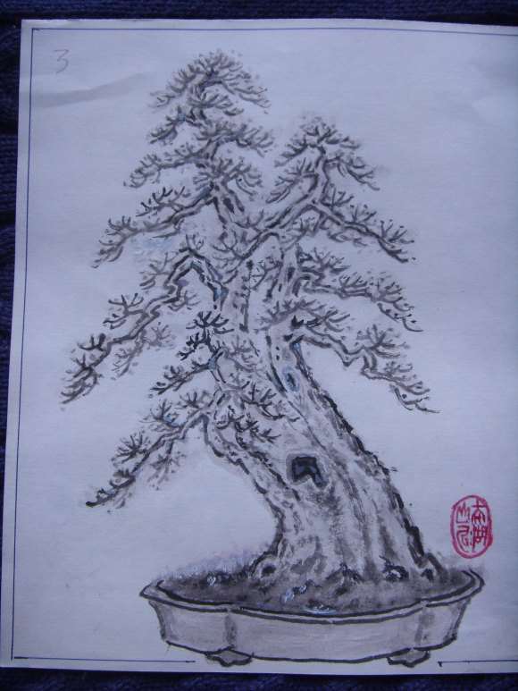 一本多杆三角枫盆景的设计图 图片