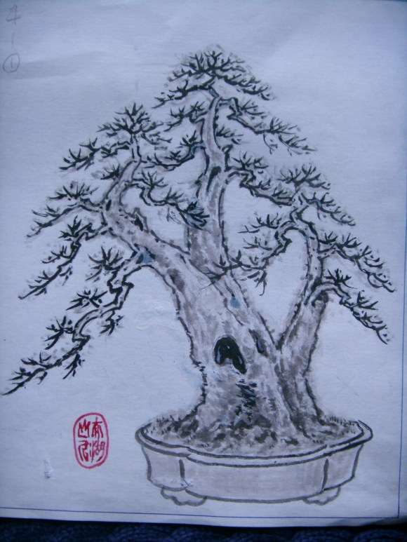 一本多杆三角枫盆景的设计图