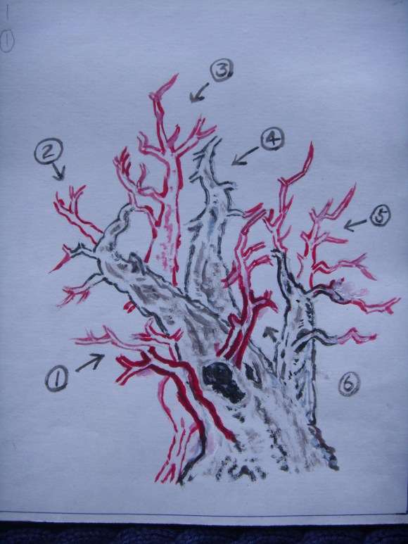 一本多杆三角枫盆景的设计图