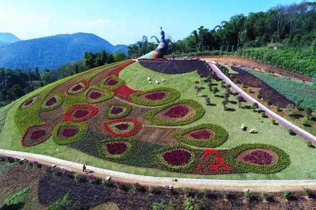 2020年温江飞地花木出口基地强劲发力