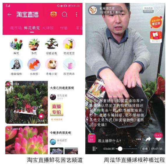 为什么鲜花园艺成为淘宝直播热门