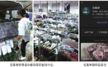 在花集网卖花卉 有效果吗 怎么样