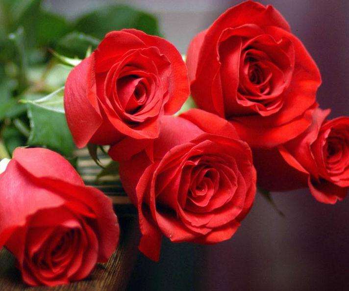 郑州3月陈砦市场鲜切花销售陆续复工