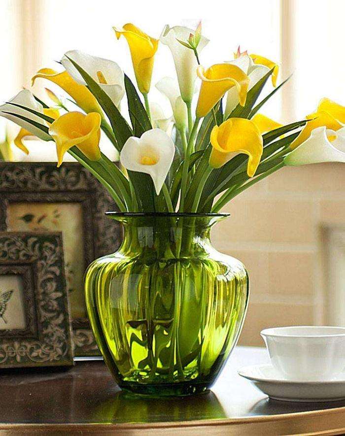 马蹄莲怎么病虫害防治的2个方法