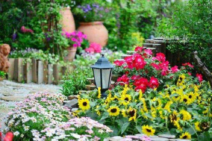 为什么虹越花卉的线上交易增长比线下更快