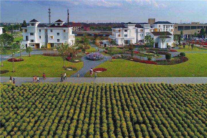 为什么有些花卉企业对线上销售仍然观望