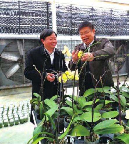 2020年福建农林大兰花研究成果获国家进步奖