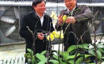 2020年福建农林大兰花研究成果获国家进步奖