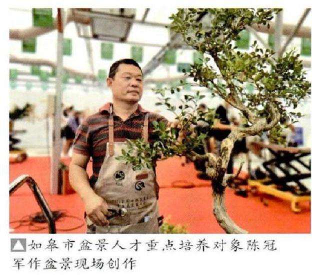 2020年如皋小微盆景展暨盆景交易大会