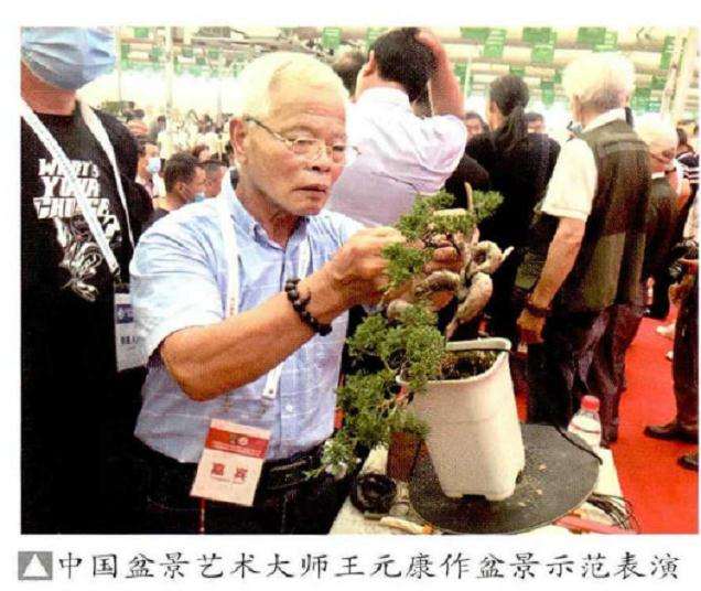 2020年如皋小微盆景展暨盆景交易大会