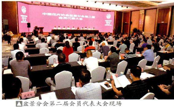 2020年如皋小微盆景展暨盆景交易大会