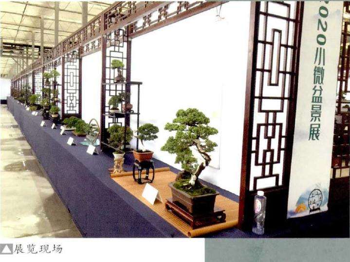 2020年如皋小微盆景展暨盆景交易大会