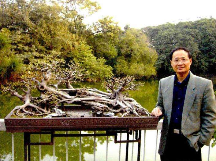 关于岭南盆景传承发展的几个问题