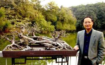 关于岭南盆景传承发展的几个问题