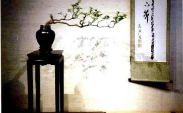 岭南盆景怎么遵循规律与打破规则的方法