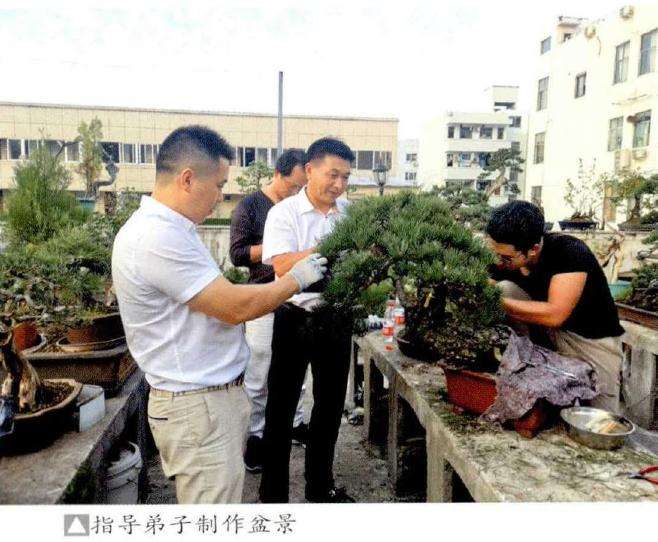 金育林和他的知春盆景园