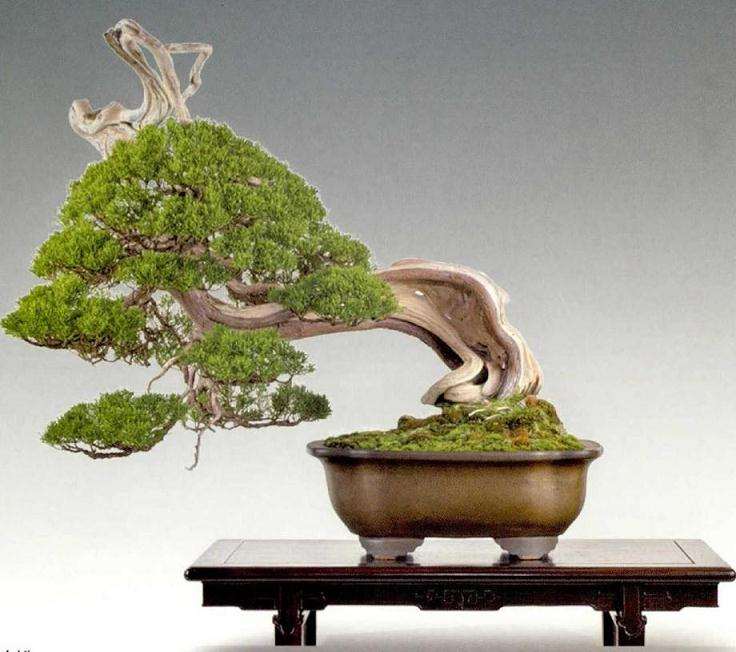 第94届日本国风展在新冠疫情期间举办