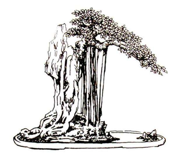 中国盆景造型美学要素解析