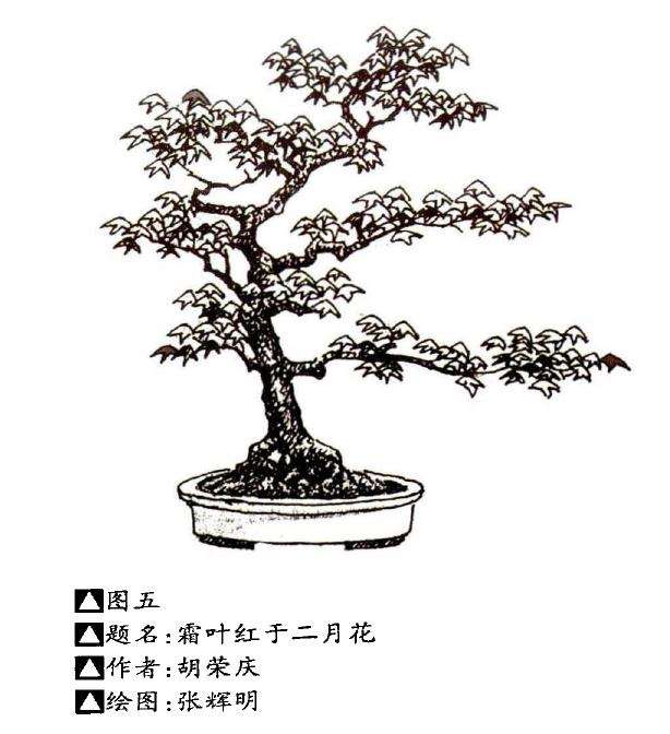 中国盆景造型美学要素解析