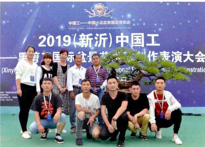 图解 松树盆景《松韵》创作的过程