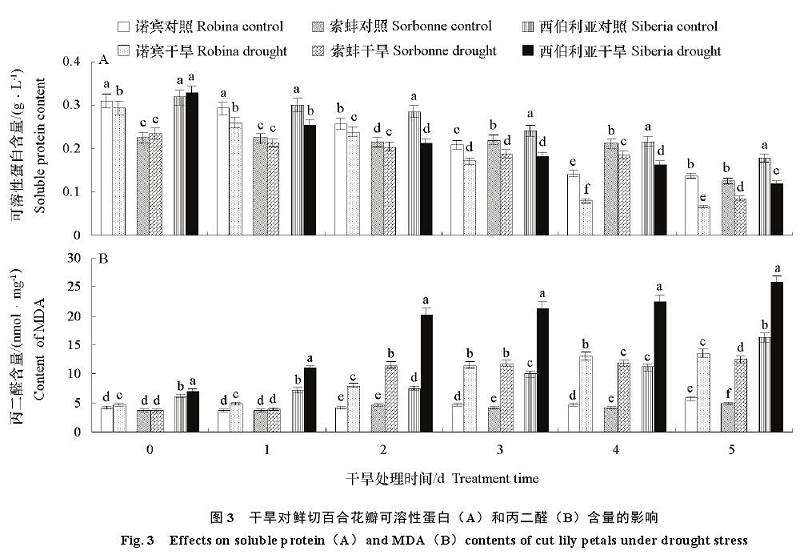 干旱胁迫对百合花瓣生理生化的